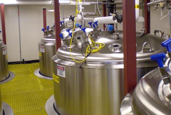 Fermentation room with view of five stainless steel vats