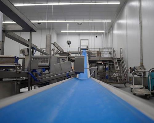 Troughed conveyor with food grade blue belt